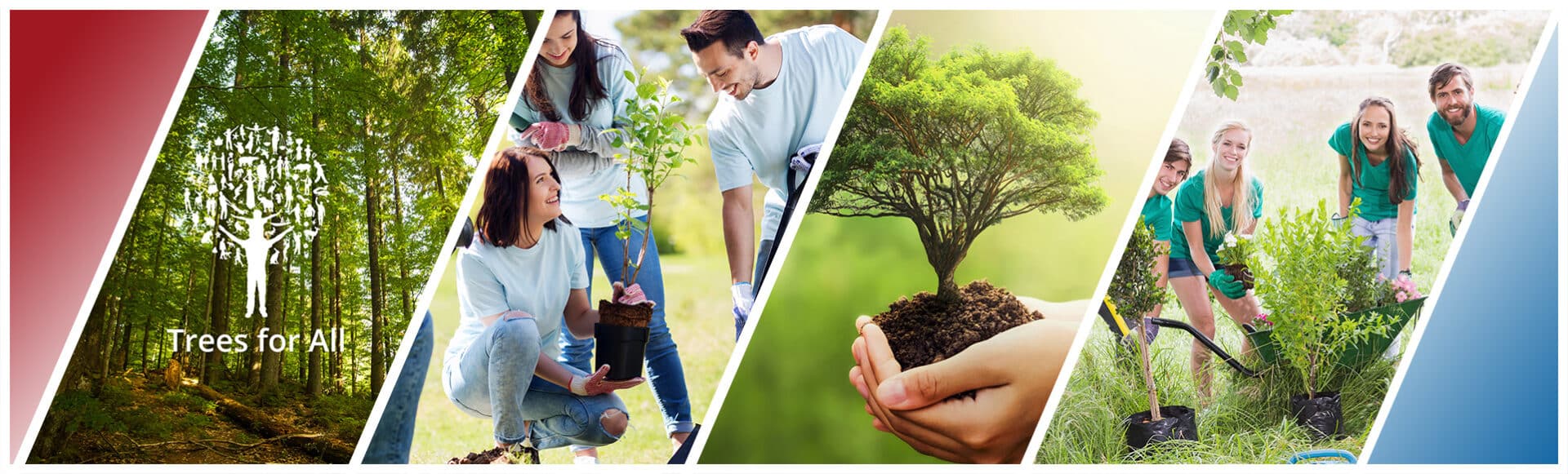 Trees for All Trees for All